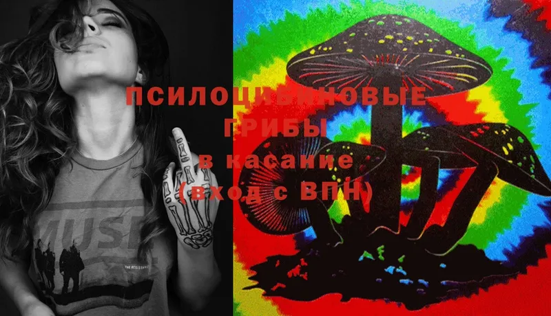 blacksprut маркетплейс  Миасс  Галлюциногенные грибы Magic Shrooms 